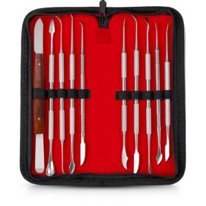 Dental Carving Set