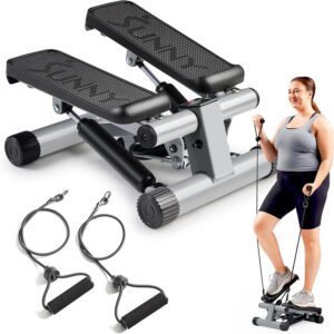 Mini Stepper Trainer